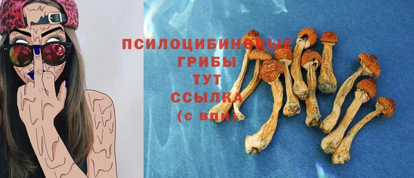 круглые Белокуриха